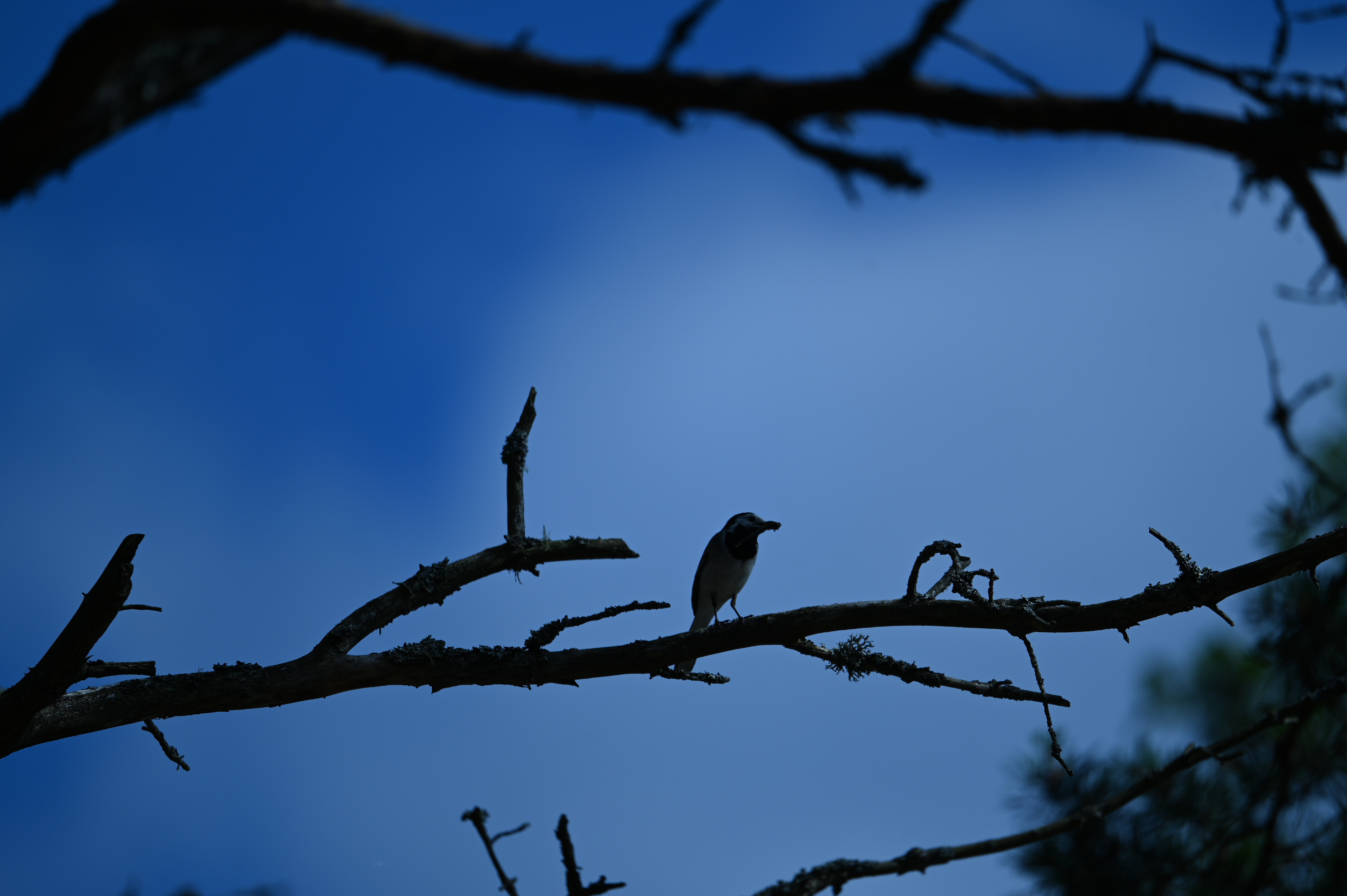 2025/07/09-14 - trip/DSC_0465.JPG